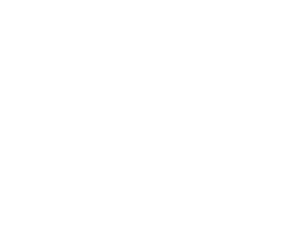 Adidas Shoes Sponsor Mirjam Björklund logo